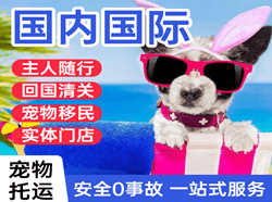 龙洞堡航空快递国际宠物托运 【国